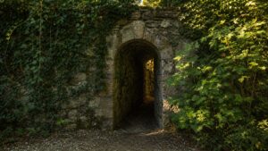 A realistic editorial image of an old arched passage entrance partly hidden behind vines and weathered stone.
